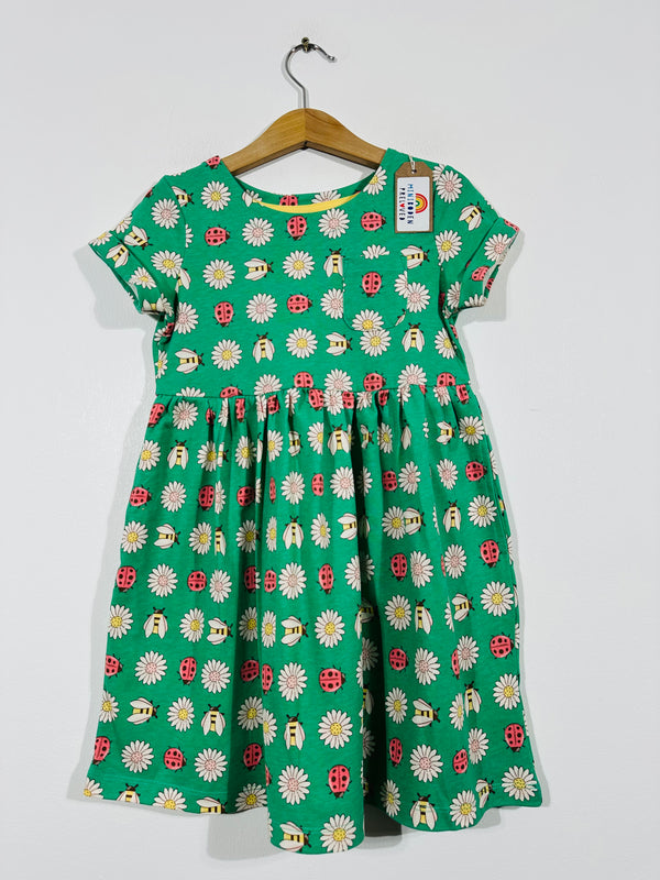 Green Ladybird Dress (Age 4-5)