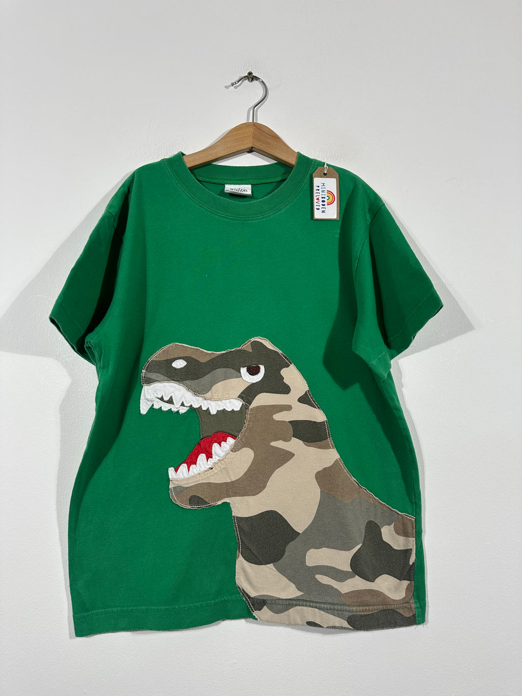 Fun Applique T-Rex Top (9-10 Years)