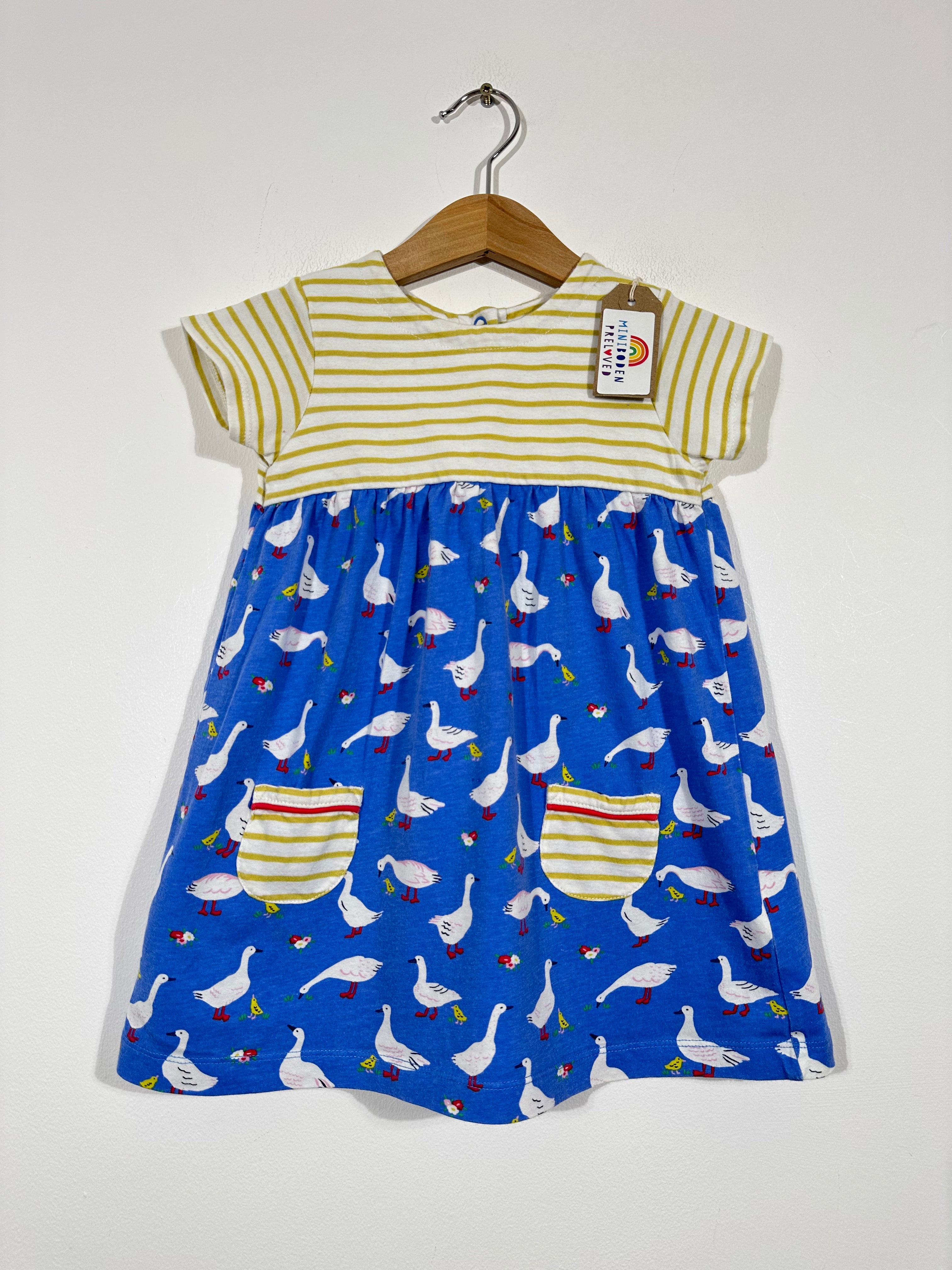 Lovely Duck Print Dress 12 18 Months