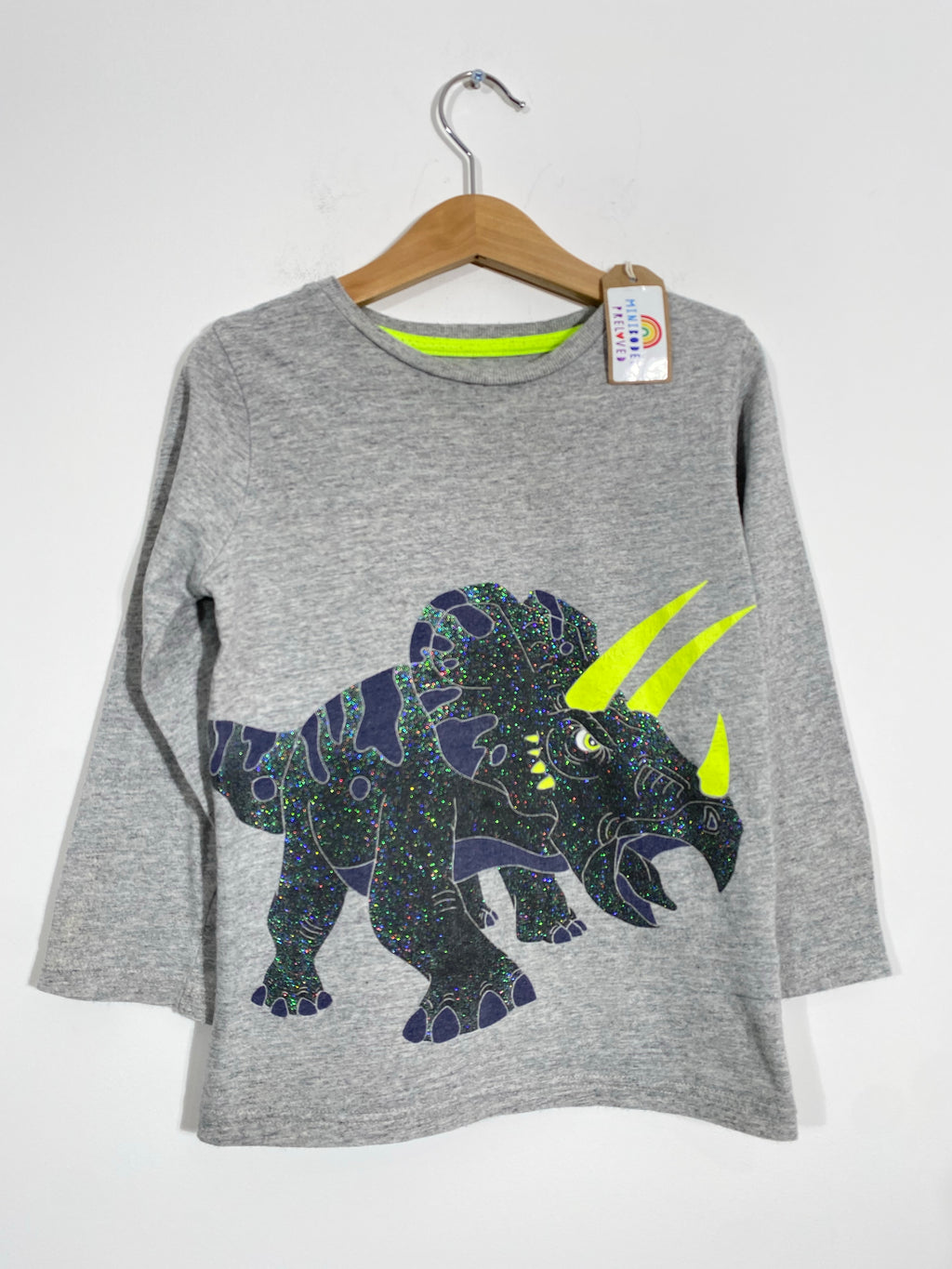 Sparkly Dino Design Grey Top (5-6 Years)