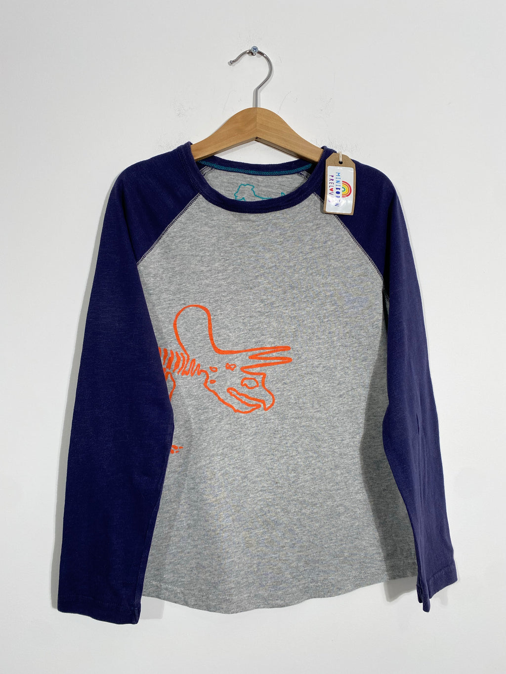 Lovely Dino Print Grey Top (6-7 Years)