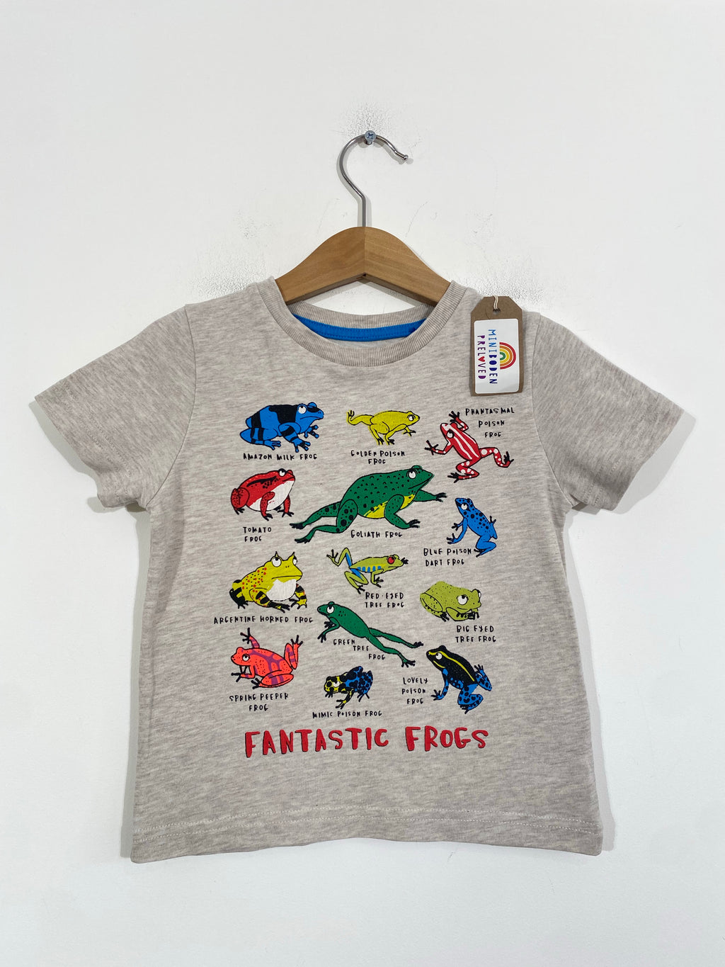 Fantastic Frogs Top (2-3 Years)